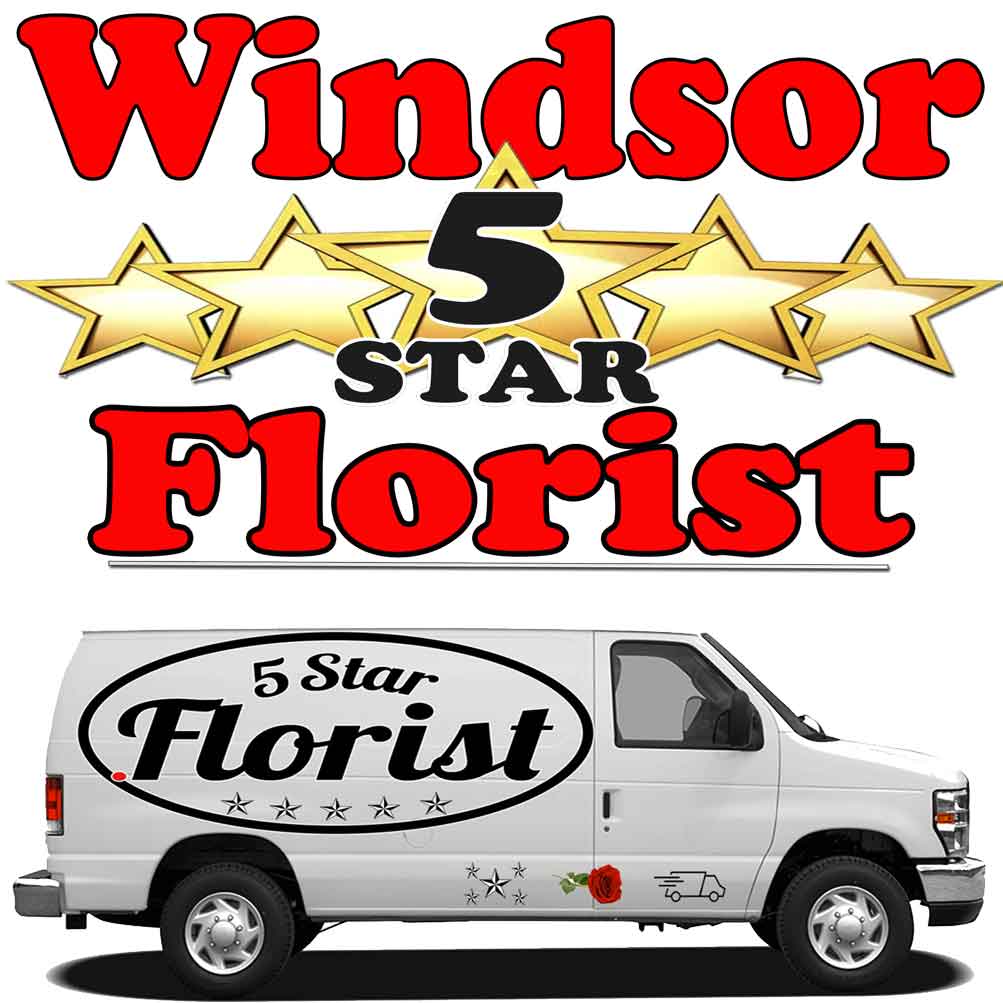 get well flowers windsor florist